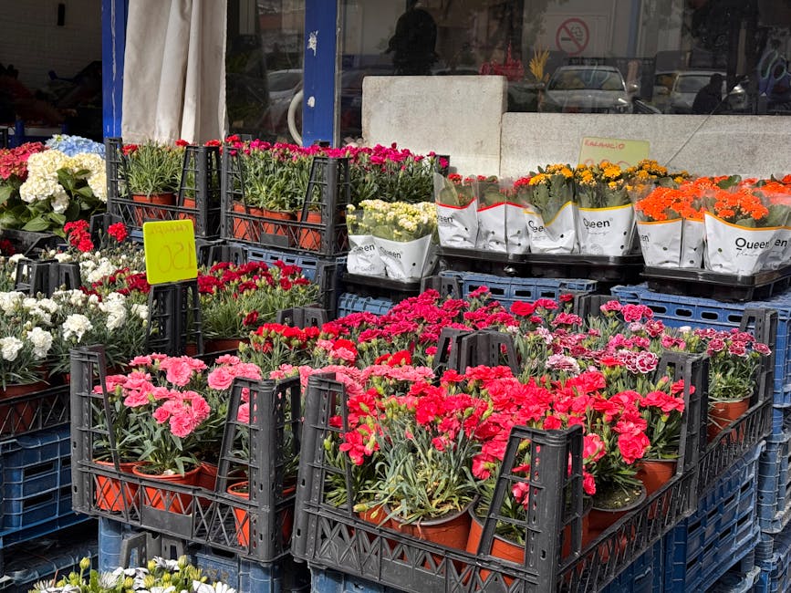 A display of various potted flowering plants arranged on black plastic crates outside a flower shop, showcasing vibrant pink, red, white, yellow, and orange blooms. The flowers include carnations and